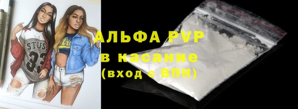 ECSTASY Белая Холуница