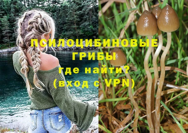 соль курить ск Няндома