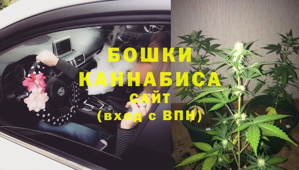 ECSTASY Белая Холуница